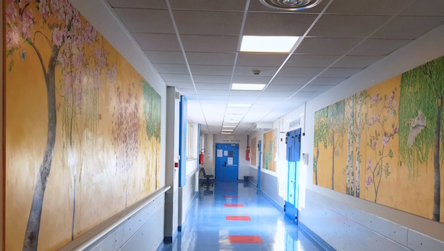 asl to4 arte negli ospedali